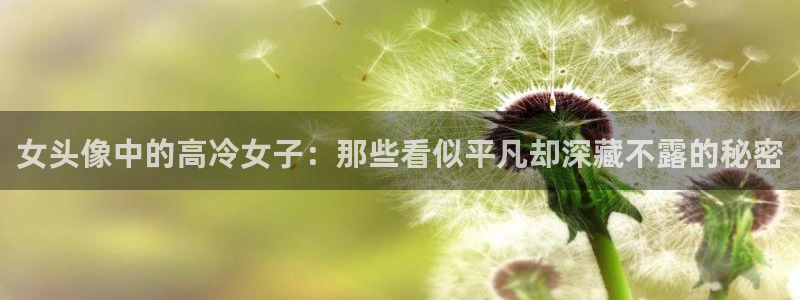 动漫岛官网入口