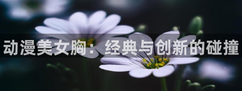 动漫岛下
